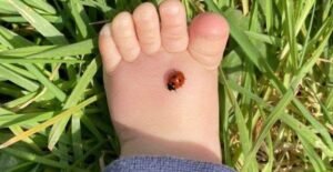 family-instagram-captions-by-virtualcaption.com